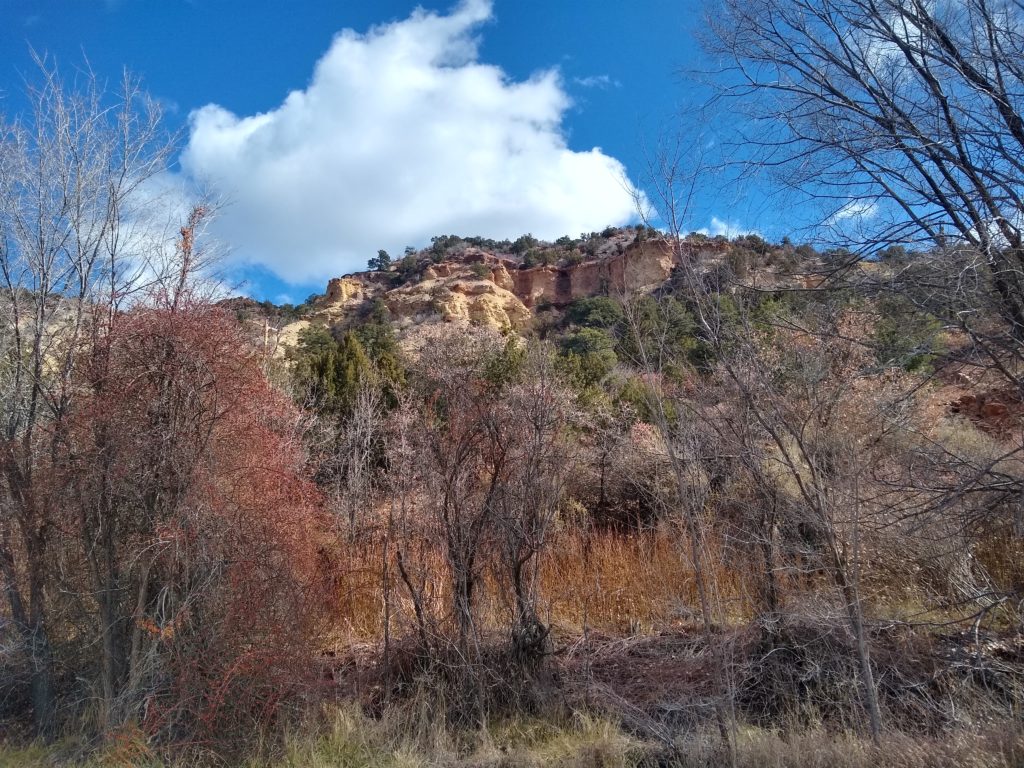 New Mexico Winter Countryside